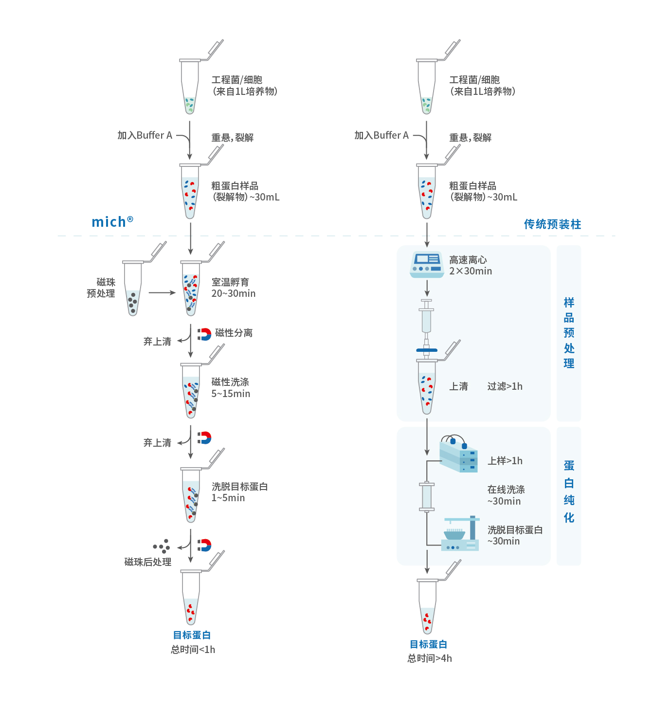 HIS对比图.jpg